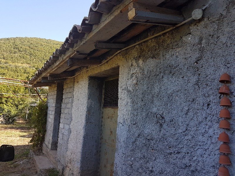 Pico uliveto e casa rurale a Frosinone in Vendita