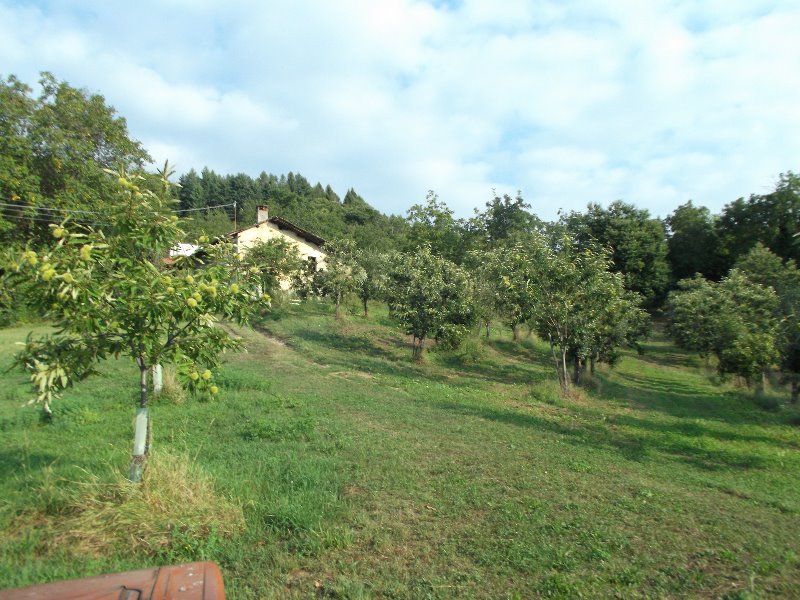 Rossana zona Bracalla cascinale con terreno a Cuneo in Vendita