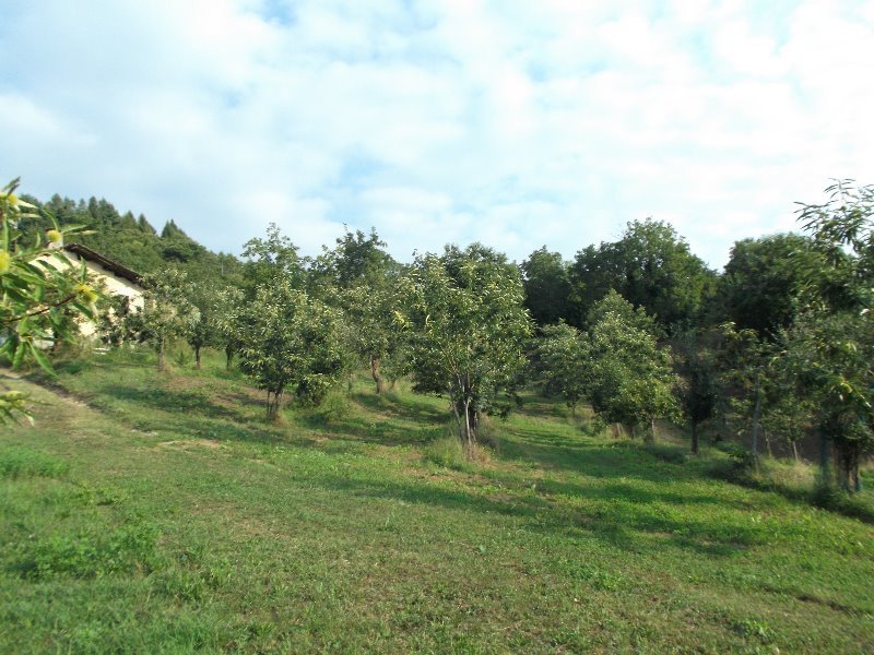 Rossana zona Bracalla cascinale con terreno a Cuneo in Vendita