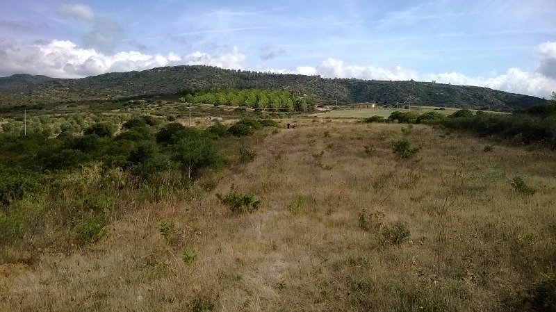 Maracalagonis terreno a Cagliari in Vendita