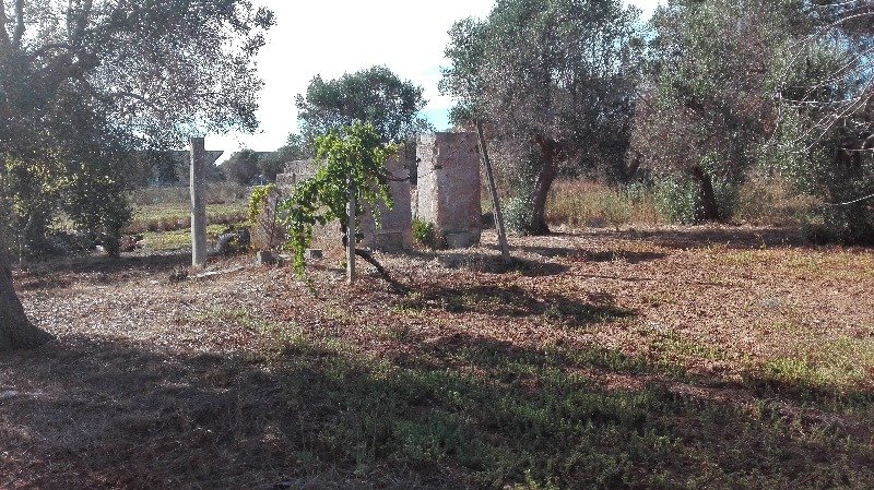 Parabita terreno agricolo a Lecce in Vendita