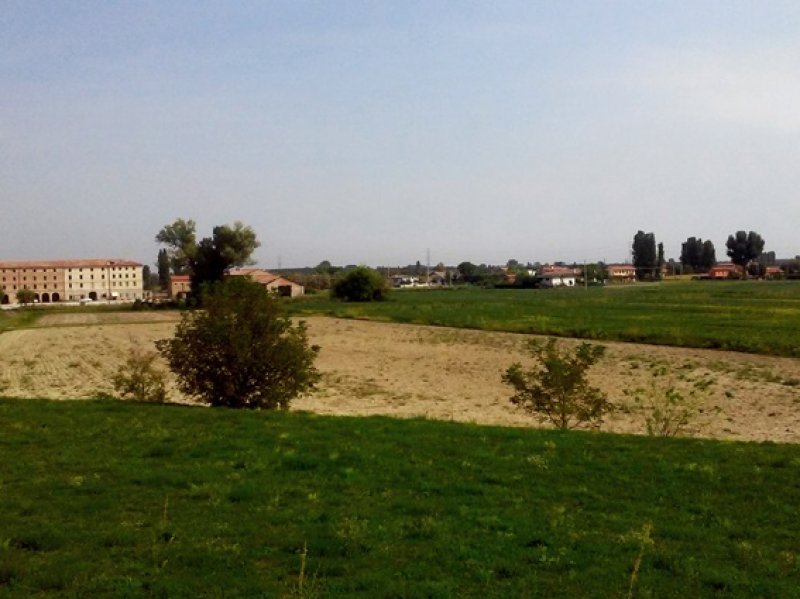 Piove di Sacco terreni e fabbricati agricoli a Padova in Vendita