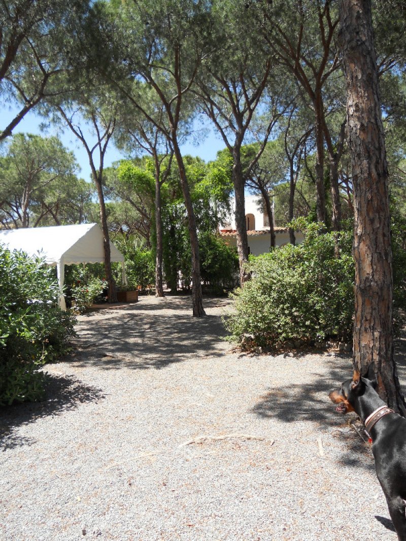 Sianta Margherita di Pula villa a Cagliari in Affitto