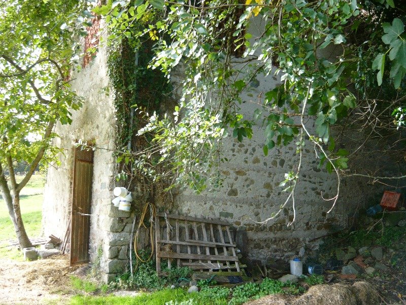 Villa Collemandina capanna stalla recente a Lucca in Vendita