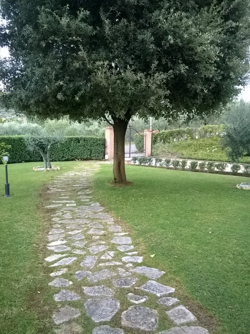 Casa singola zona collinare palazzo di Assisi a Perugia in Vendita