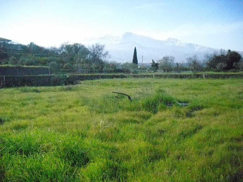 Terreno agricolo in Santa Venerina a Catania in Vendita
