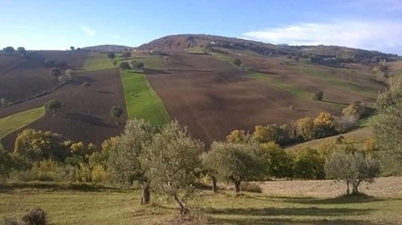 Cingoli terreni a Macerata in Vendita