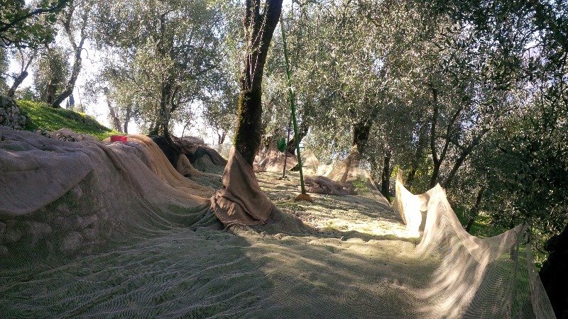 Terreno agricolo sopra la localit di Sommavilla a Verona in Vendita