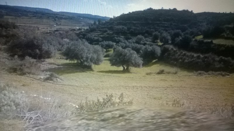 Monterosso Almo terreno a Ragusa in Vendita