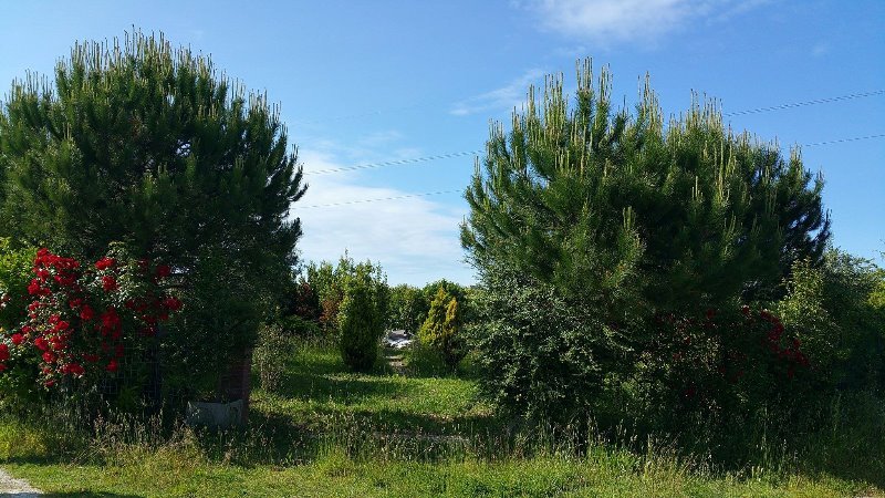 A Montemarciano terreno agricolo a Ancona in Vendita