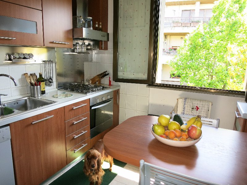 Senigallia zona vivere verde luminoso appartamento a Ancona in Vendita