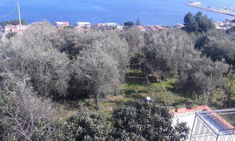 Trabia ampia villa da ristrutturare a Palermo in Vendita