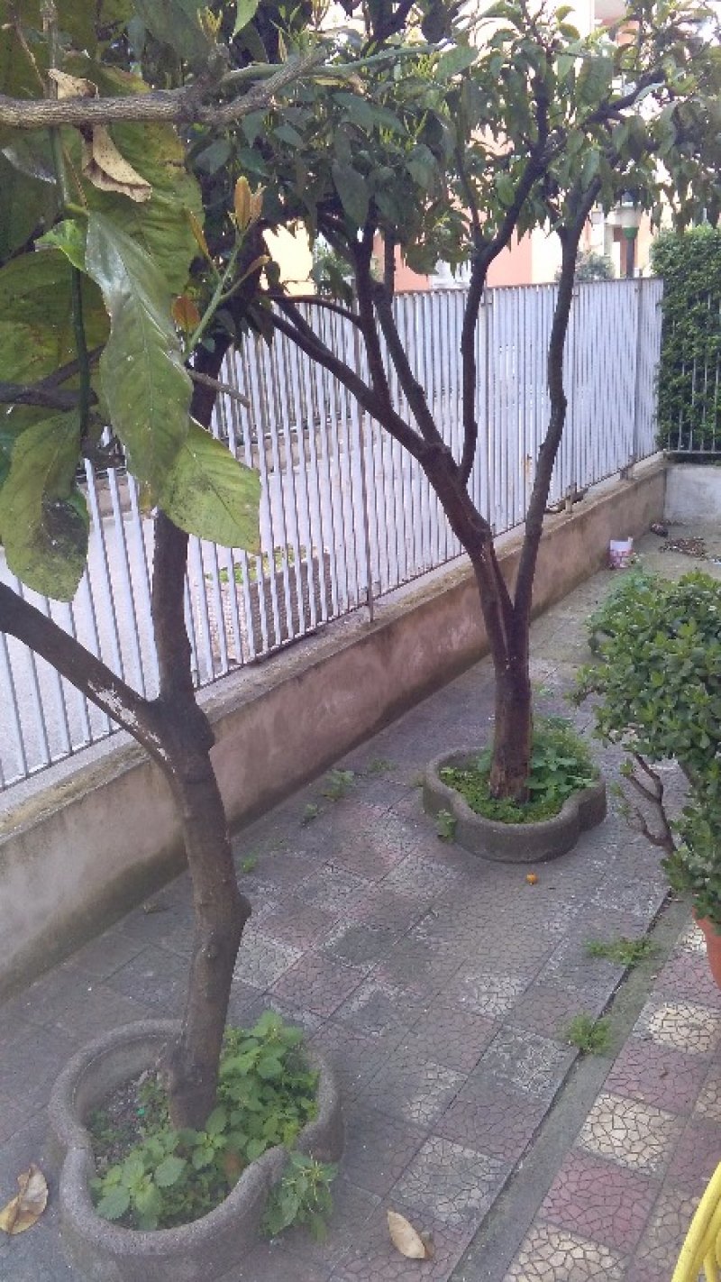 Casalnuovo di Napoli appartamento con giardino a Napoli in Vendita