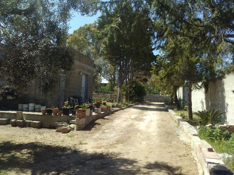 San Donato di Lecce uliveto con annesso deposito a Lecce in Vendita