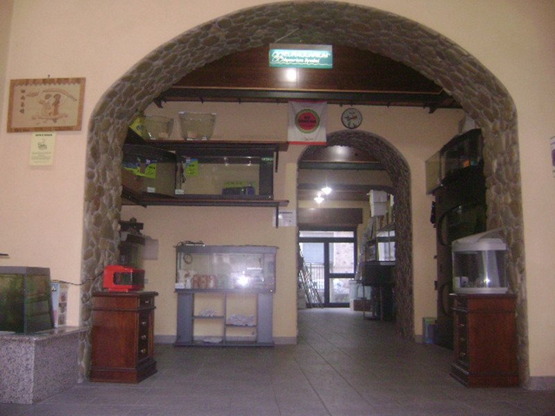 A Sora locale commerciale a Frosinone in Vendita
