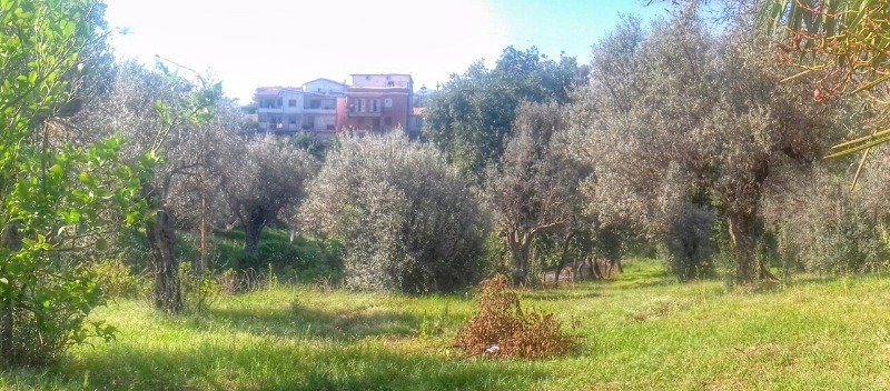 Bovalino casa con terreno a Reggio di Calabria in Vendita