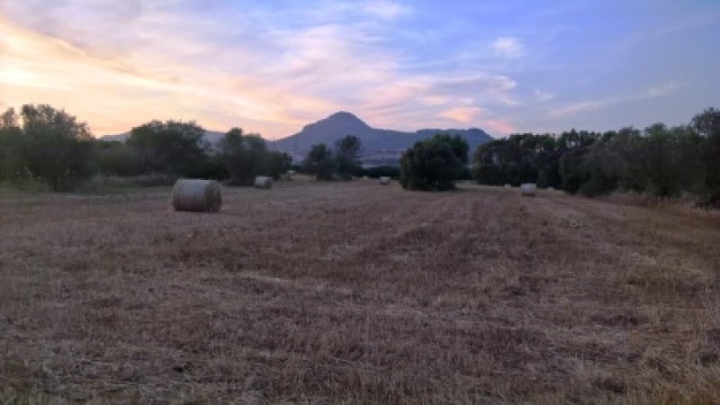 Localit Zirra terreno agricolo a Sassari in Vendita