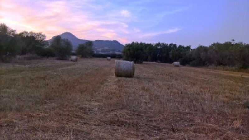 Localit Zirra terreno agricolo a Sassari in Vendita