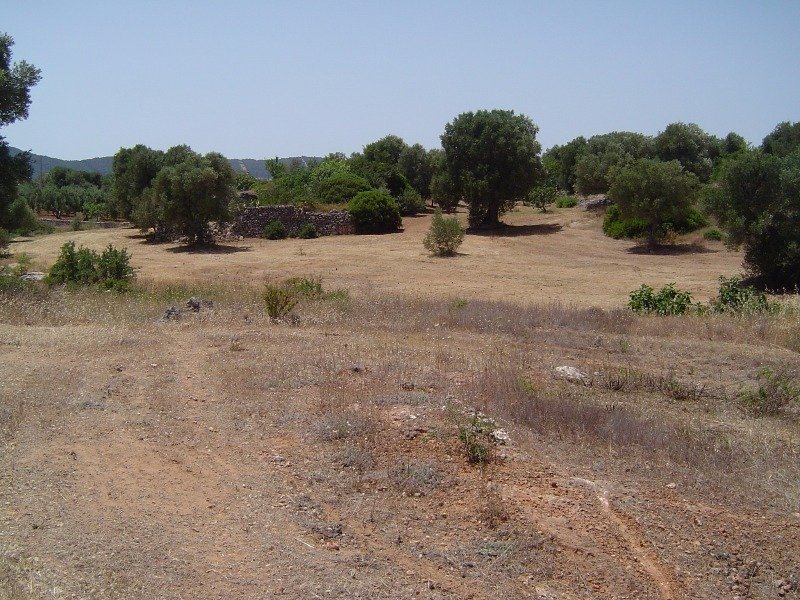 Ostuni terreno nel parco naturale delle dune a Brindisi in Vendita