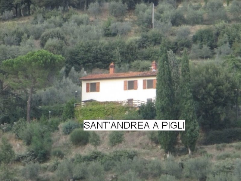 Sant'Andrea a Pigli casale a Arezzo in Vendita
