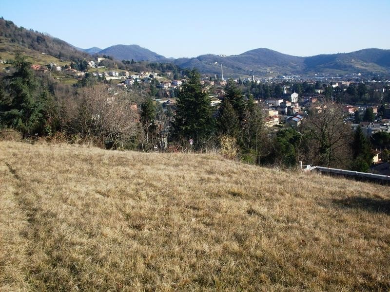 Ad Alzano Lombardo lotto di terreno edificabile a Bergamo in Vendita