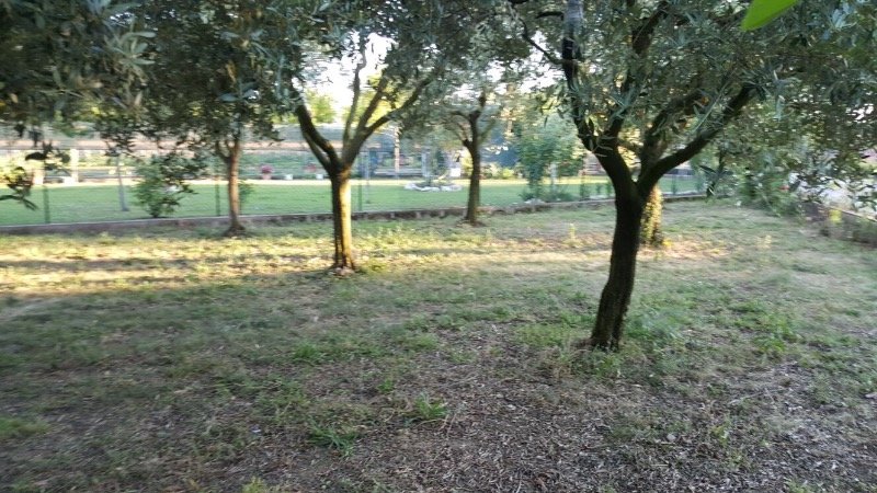 Chiaravalle terreno agricolo provvisto di capanno a Ancona in Vendita