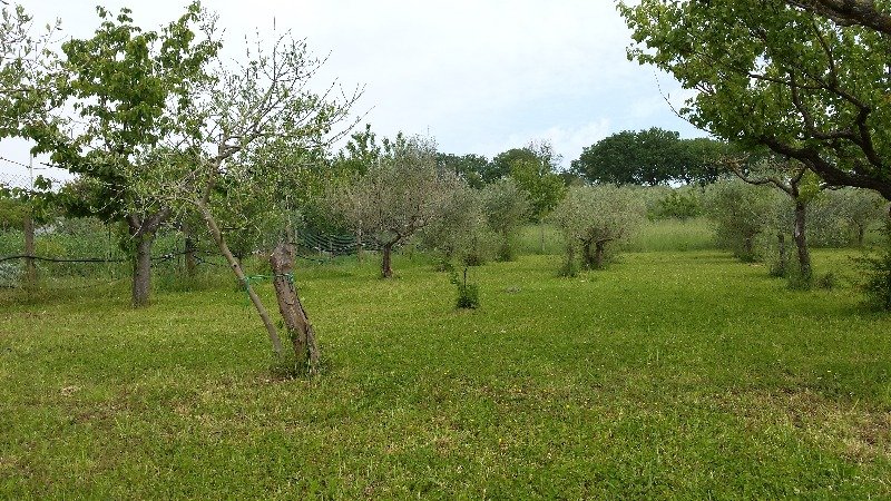 Pesaro terreno con adiacente lago a Pesaro e Urbino in Vendita