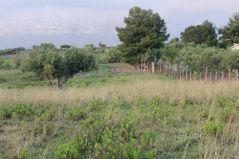 Terreno zona Trappeto contrada Cicala a Palermo in Vendita