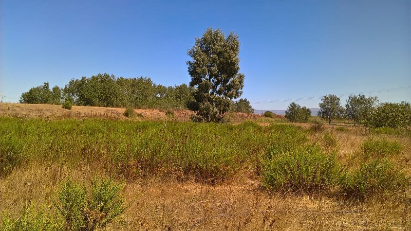 Assemini terreno agricolo a Cagliari in Vendita