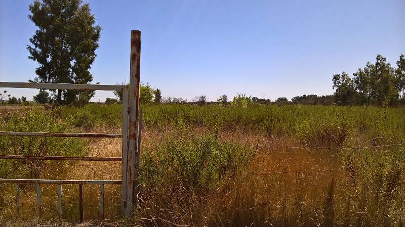 Assemini terreno agricolo a Cagliari in Vendita