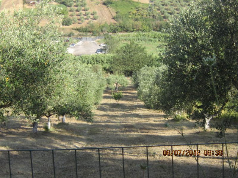 Monterotondo terreno agricolo recintato a Roma in Vendita