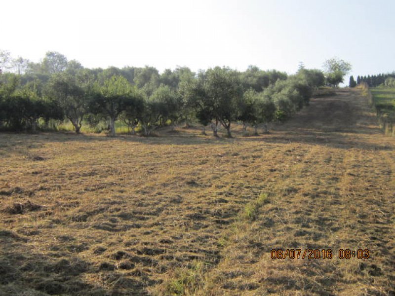 Monterotondo terreno agricolo recintato a Roma in Vendita