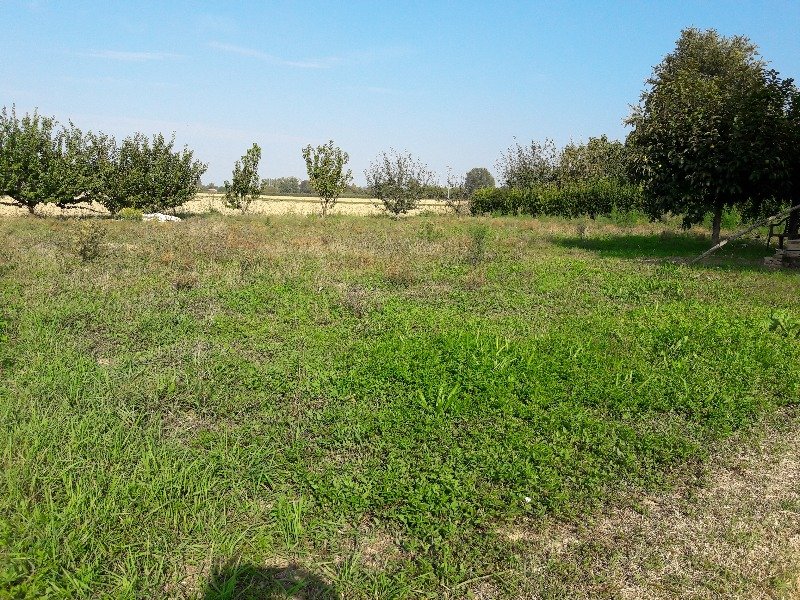Russi terreno adibito ad orto a Ravenna in Vendita