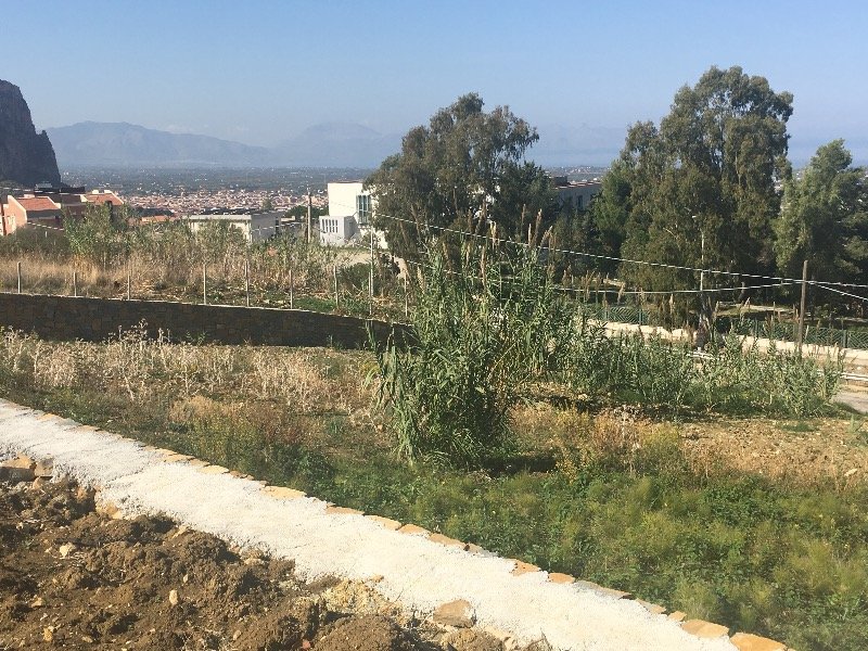 Partinico lotti di terreno con progetto a Palermo in Vendita