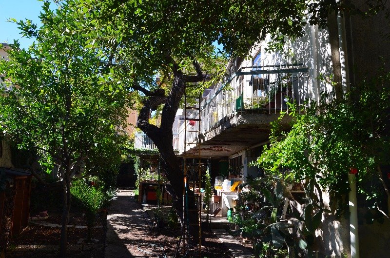 Ragusa villa con giardino orto e alberi da frutto a Ragusa in Vendita