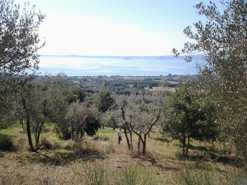Lago di Bolsena terreno localit Pantanesca a Viterbo in Vendita