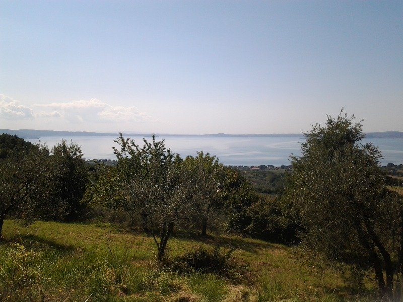 Lago di Bolsena terreno localit Pantanesca a Viterbo in Vendita