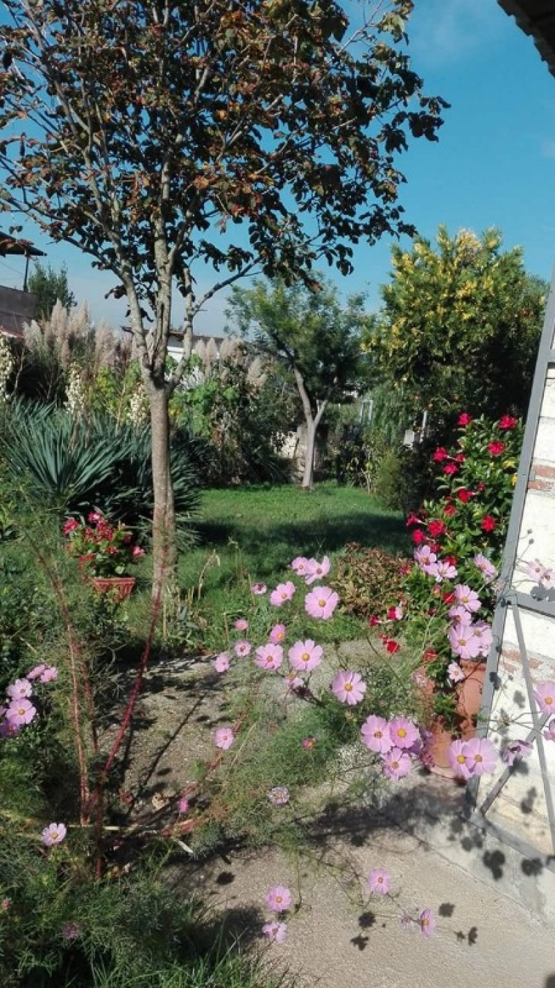 Amorosi villa in campagna con giardino a Benevento in Vendita