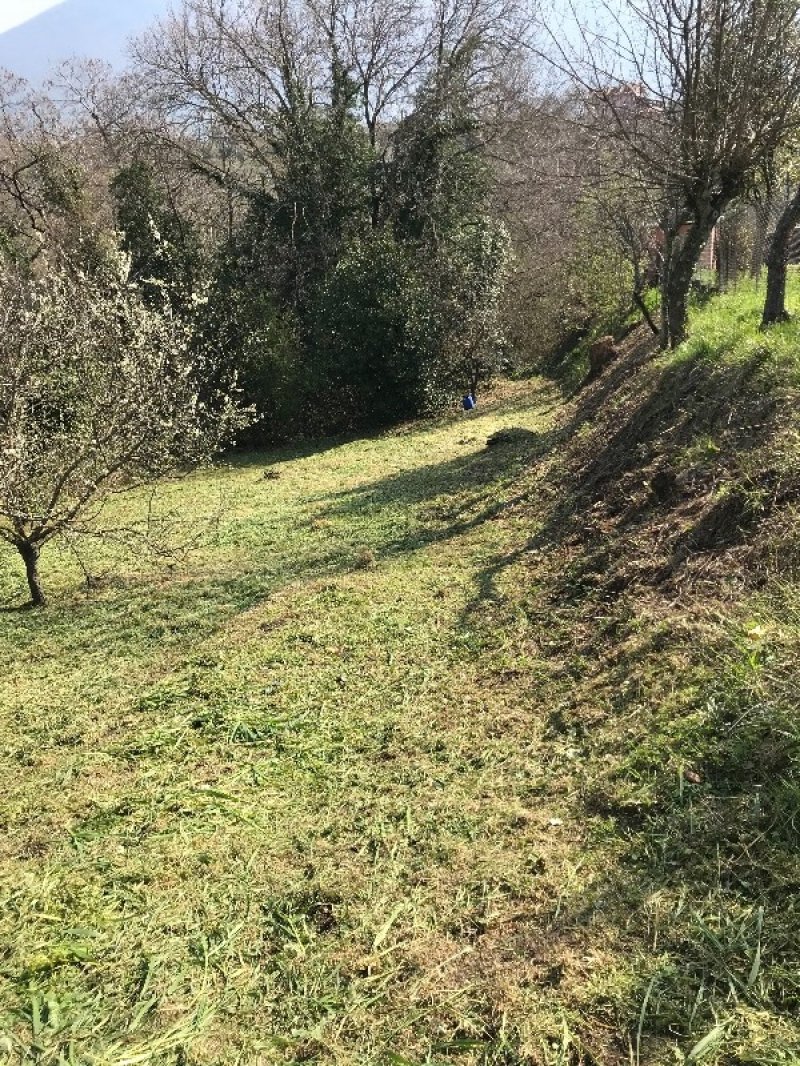 Palombara Sabina terreno agricolo con frutteto a Roma in Vendita