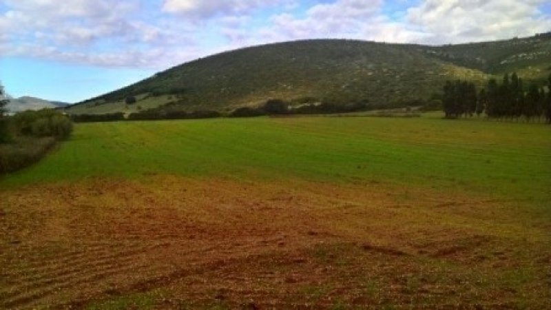 Nurra di Alghero terreno agricolo a Sassari in Vendita