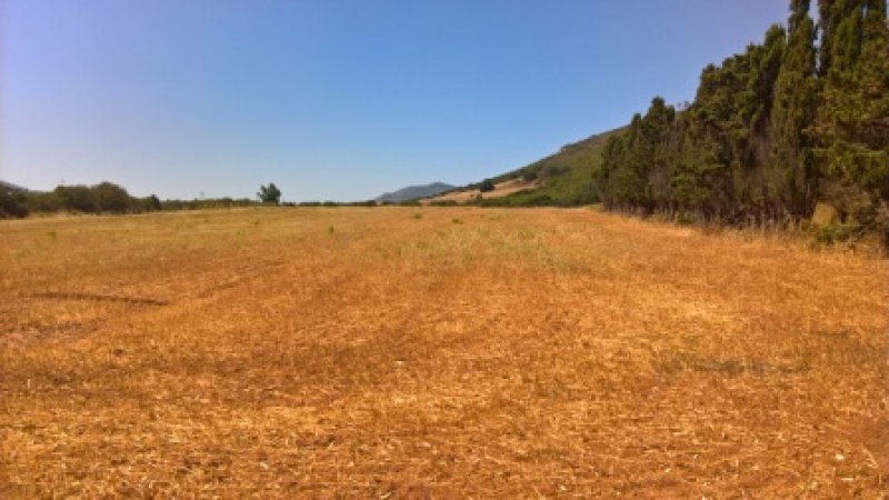 Nurra di Alghero terreno agricolo a Sassari in Vendita