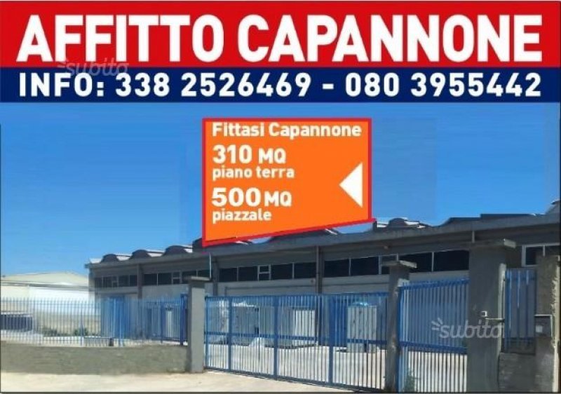 A Bisceglie capannone industriale a Barletta-Andria-Trani in Affitto