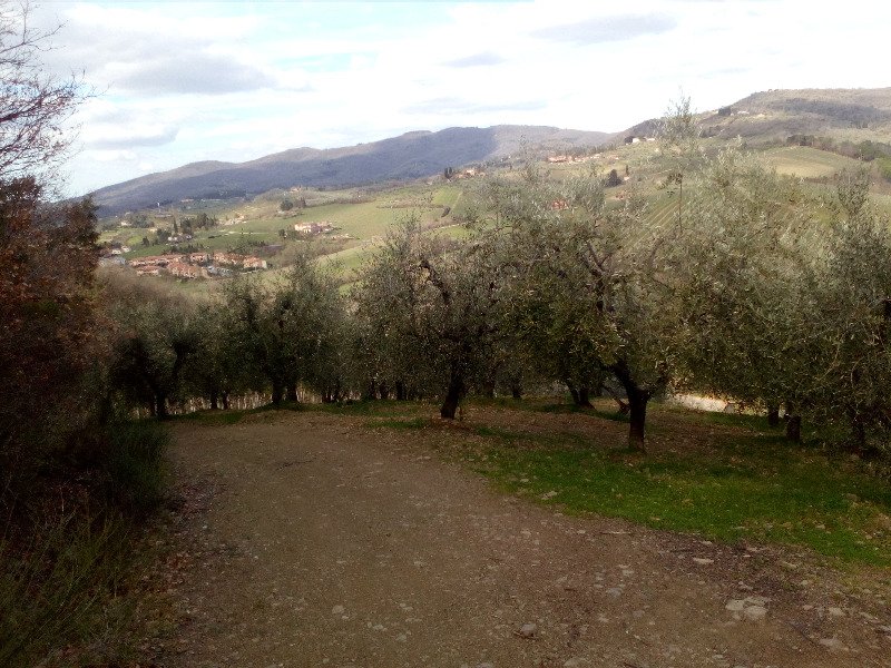 Greve in Chianti appezzamento di terreno agricolo a Firenze in Vendita
