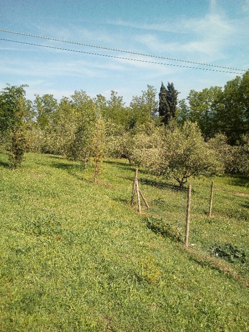 Cesena immobile agricolo a Forli-Cesena in Vendita