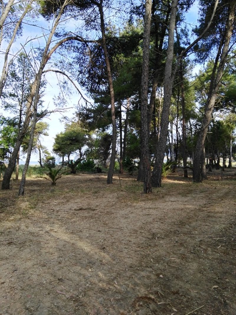 Ascea terreno in zona esclusiva a Salerno in Vendita
