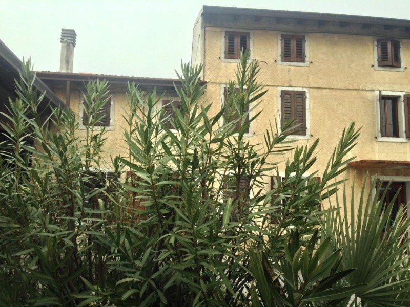 Fontanafredda tipica casa veneta a Pordenone in Vendita