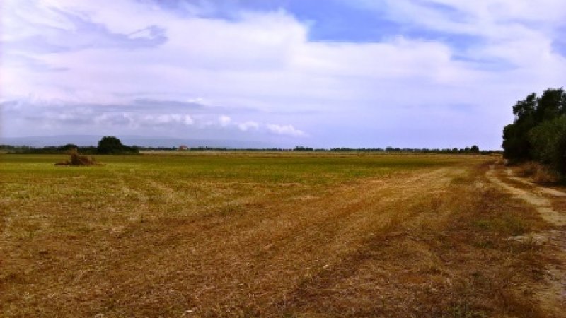 Alghero pressi aeroporto militare terreno agricolo a Sassari in Vendita