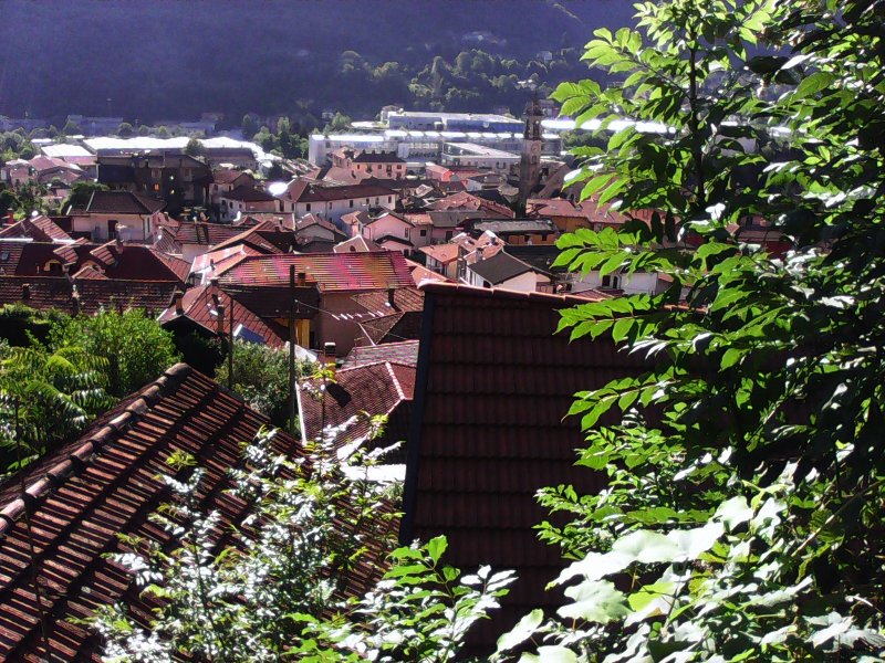 Omegna frazione Santa Rita terreno a Verbano-Cusio-Ossola in Affitto