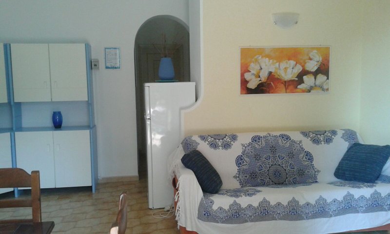 Capoliveri appartamenti in villetta a Livorno in Affitto