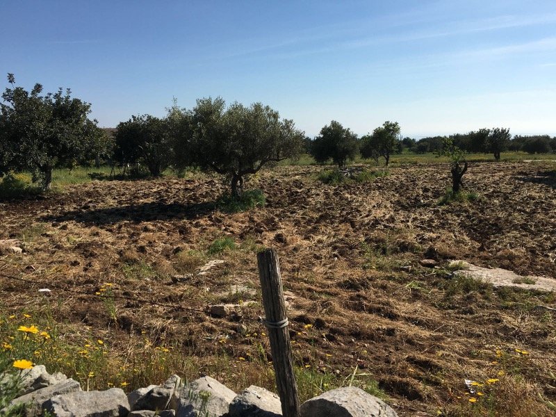 Scicli terreno agricolo in parte edificabile a Ragusa in Vendita